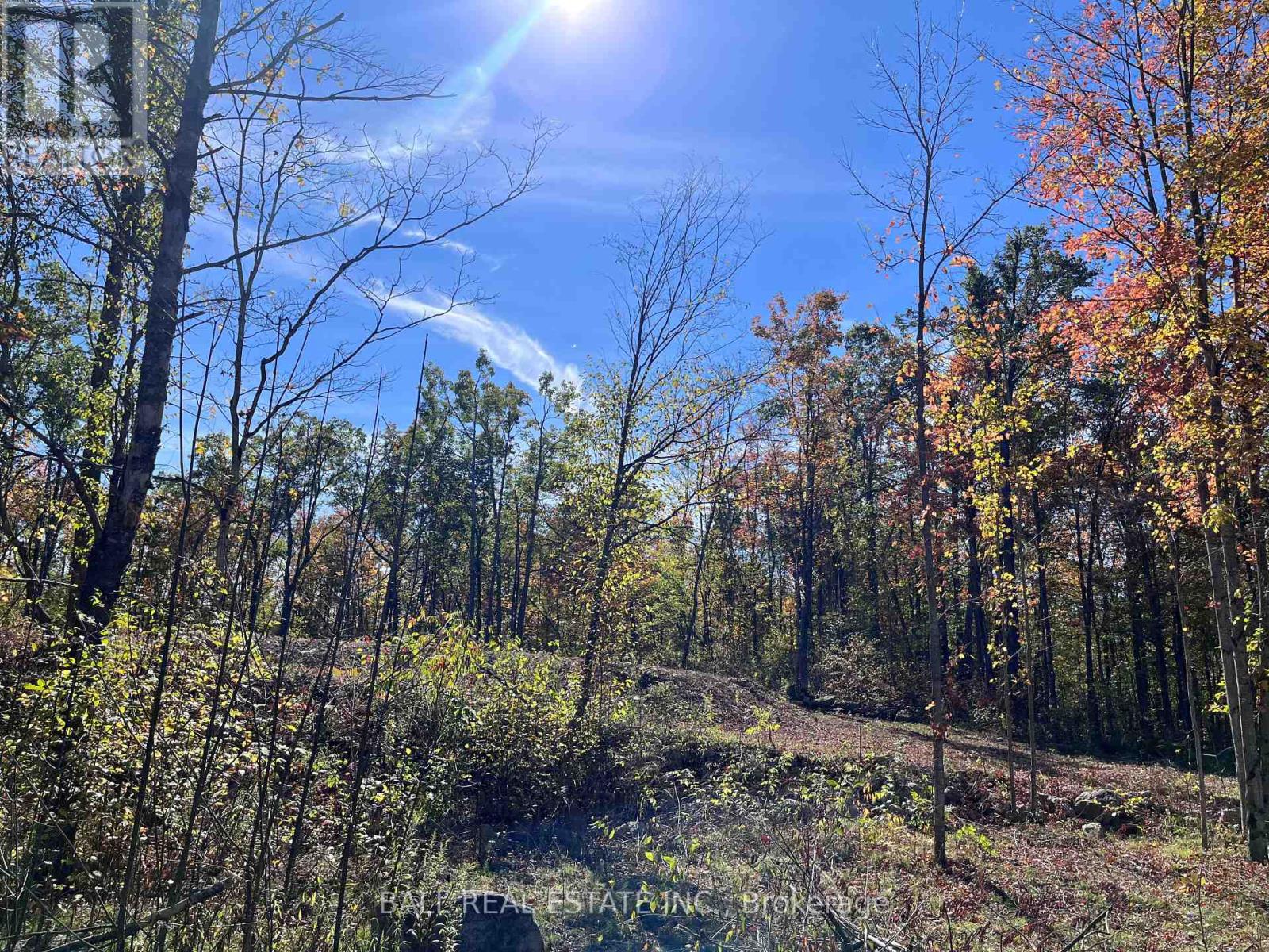 8 Hickson Road, Douro-Dummer, Ontario  K0L 2C0 - Photo 5 - X12443501