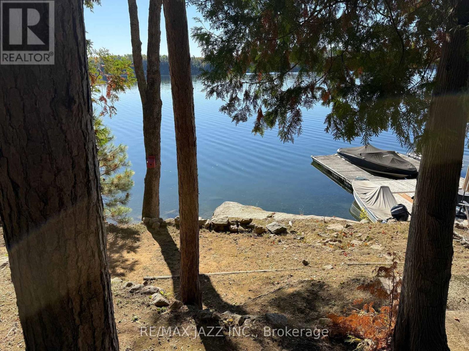 728 Renwick Road, North Kawartha, Ontario  K0L 1A0 - Photo 14 - X12444002