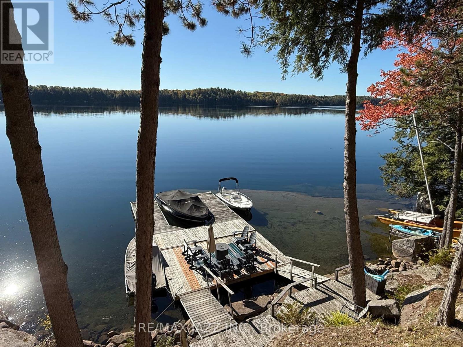 728 Renwick Road, North Kawartha, Ontario  K0L 1A0 - Photo 9 - X12444002