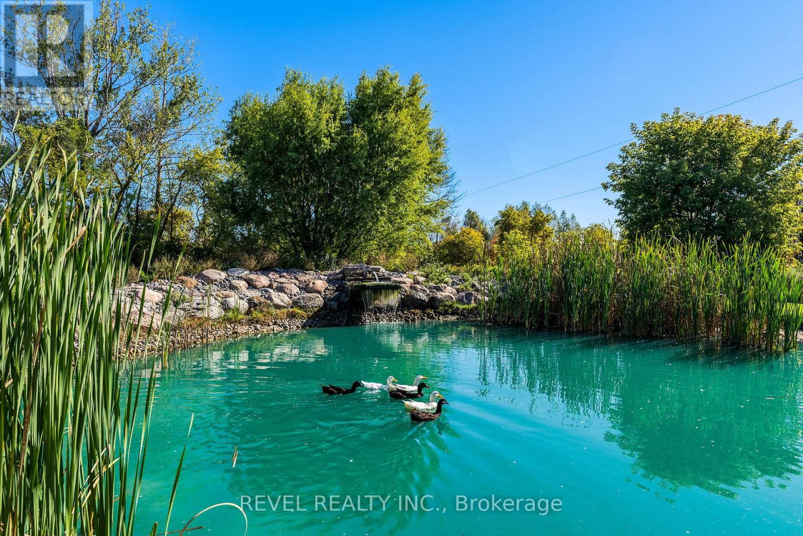 572 6th Line, Port Hope, Ontario  L0A 1J0 - Photo 28 - X12444674