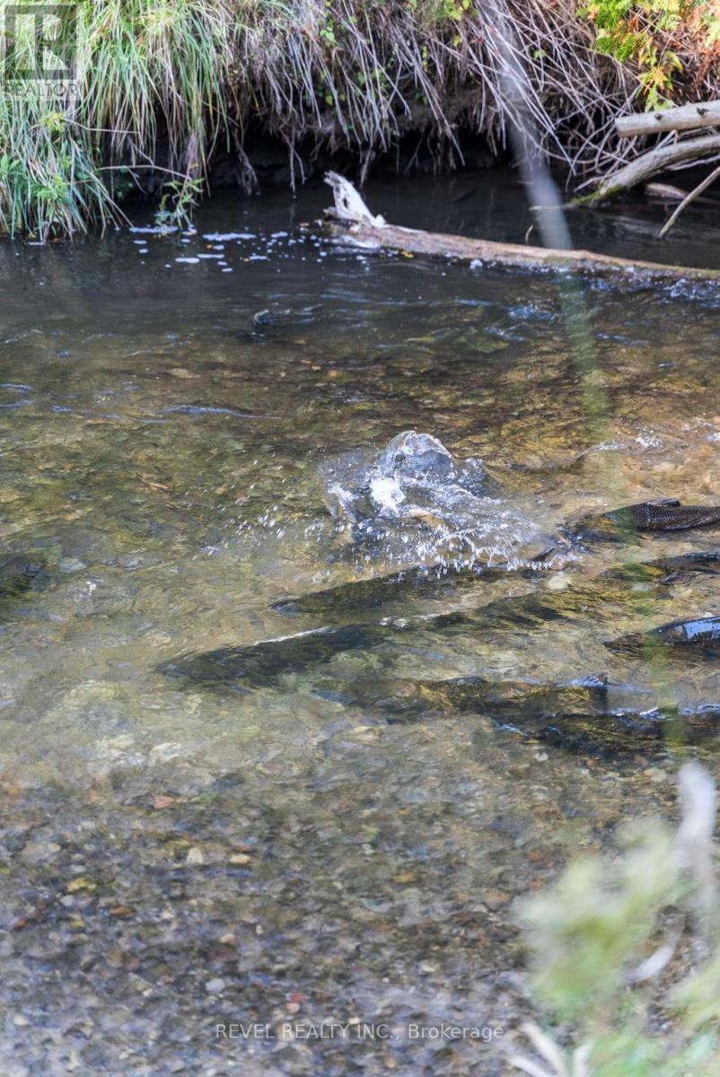 572 6th Line, Port Hope, Ontario  L0A 1J0 - Photo 40 - X12444674