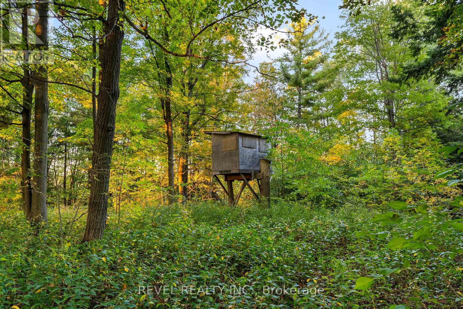 572 6th Line, Port Hope, Ontario  L0A 1J0 - Photo 44 - X12444674