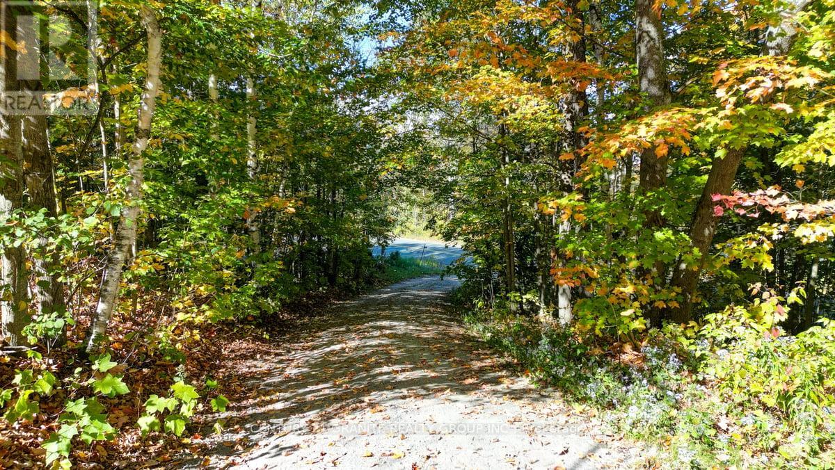 1831 South Baptiste Lake Road, Hastings Highlands (Herschel Ward), Ontario  K0L 1C0 - Photo 43 - X12445089