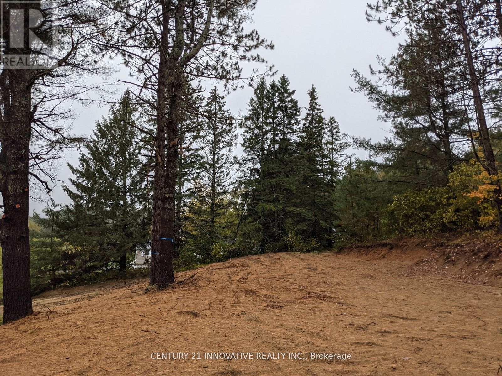 57 Bird Lake Road, Hastings Highlands (Herschel Ward), Ontario  K0L 1C0 - Photo 3 - X12445833