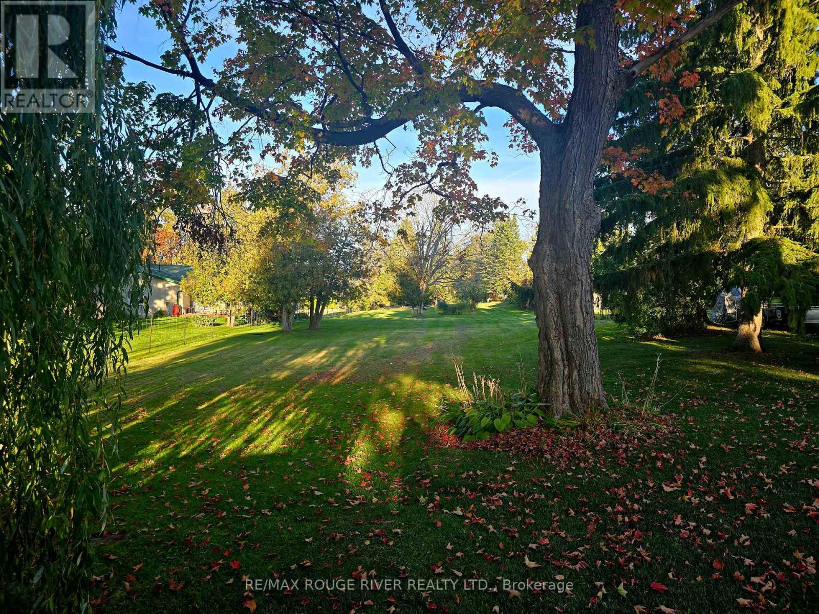 0 BUTTERNUT DRIVE, kawartha lakes (fenelon), Ontario