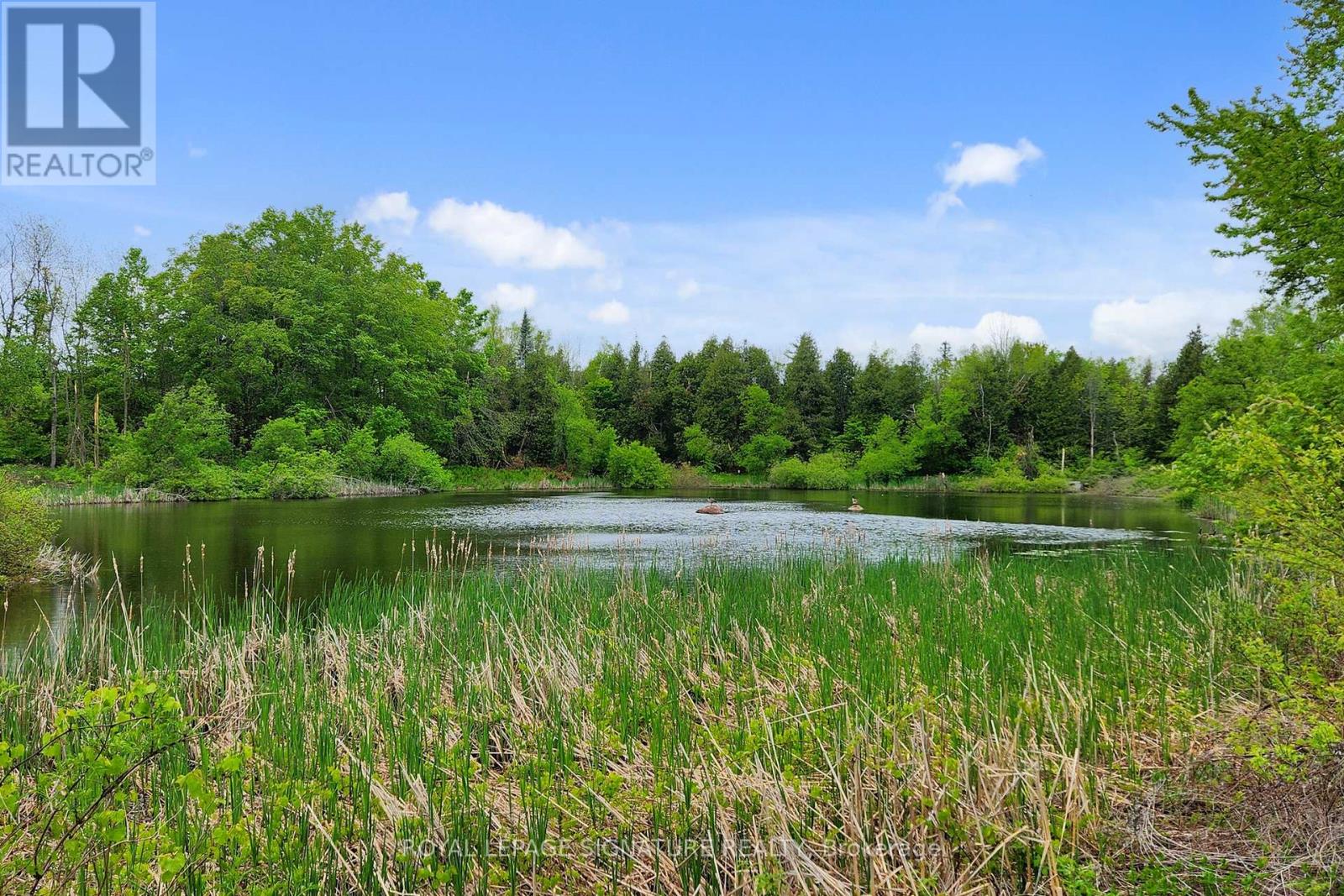 120 Hwy 7a, Cavan Monaghan (Cavan Twp), Ontario  L0A 1C0 - Photo 41 - X12446064