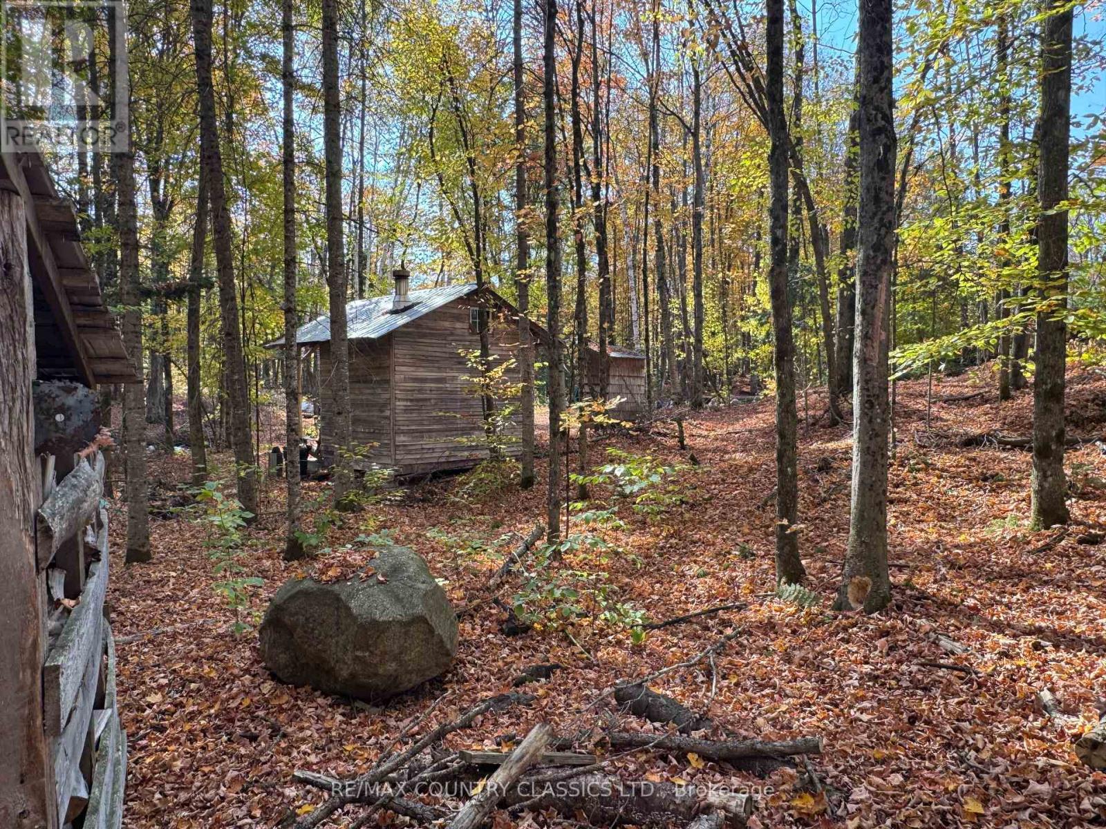 102 Caroline Court, Faraday, Ontario  K0L 1C0 - Photo 19 - X12446839