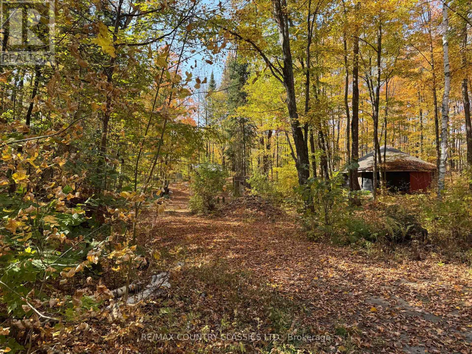 102 Caroline Court, Faraday, Ontario  K0L 1C0 - Photo 2 - X12446839