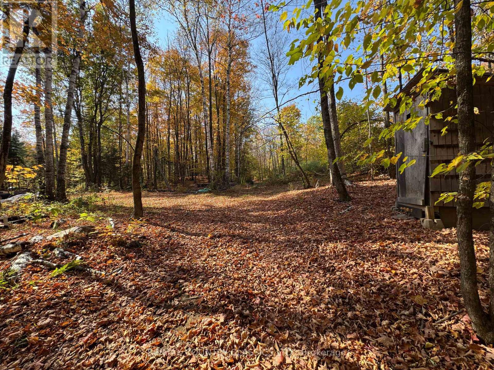 102 Caroline Court, Faraday, Ontario  K0L 1C0 - Photo 22 - X12446839