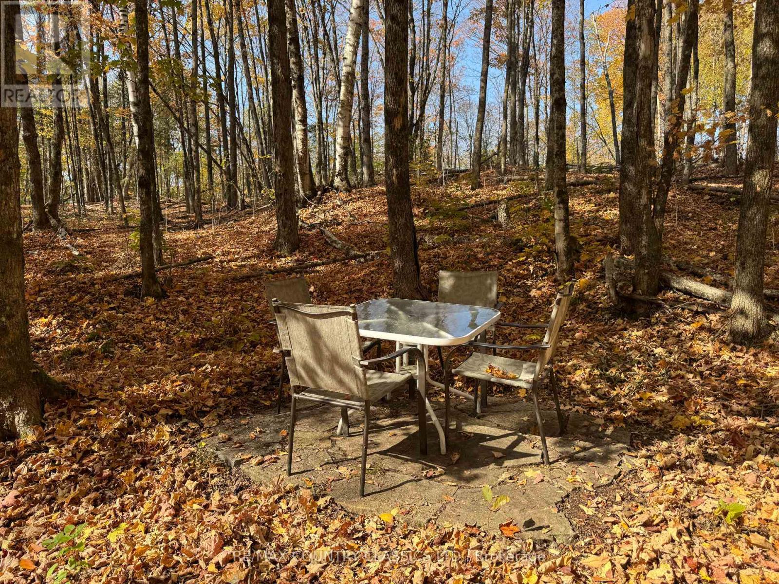 102 Caroline Court, Faraday, Ontario  K0L 1C0 - Photo 23 - X12446839