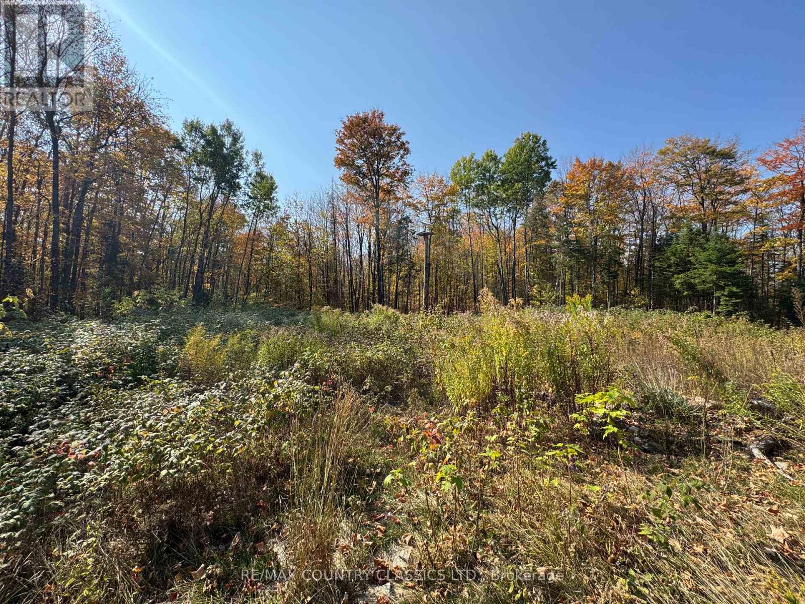 102 Caroline Court, Faraday, Ontario  K0L 1C0 - Photo 24 - X12446839