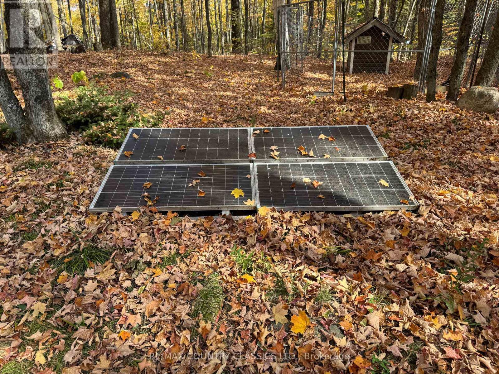 102 Caroline Court, Faraday, Ontario  K0L 1C0 - Photo 25 - X12446839