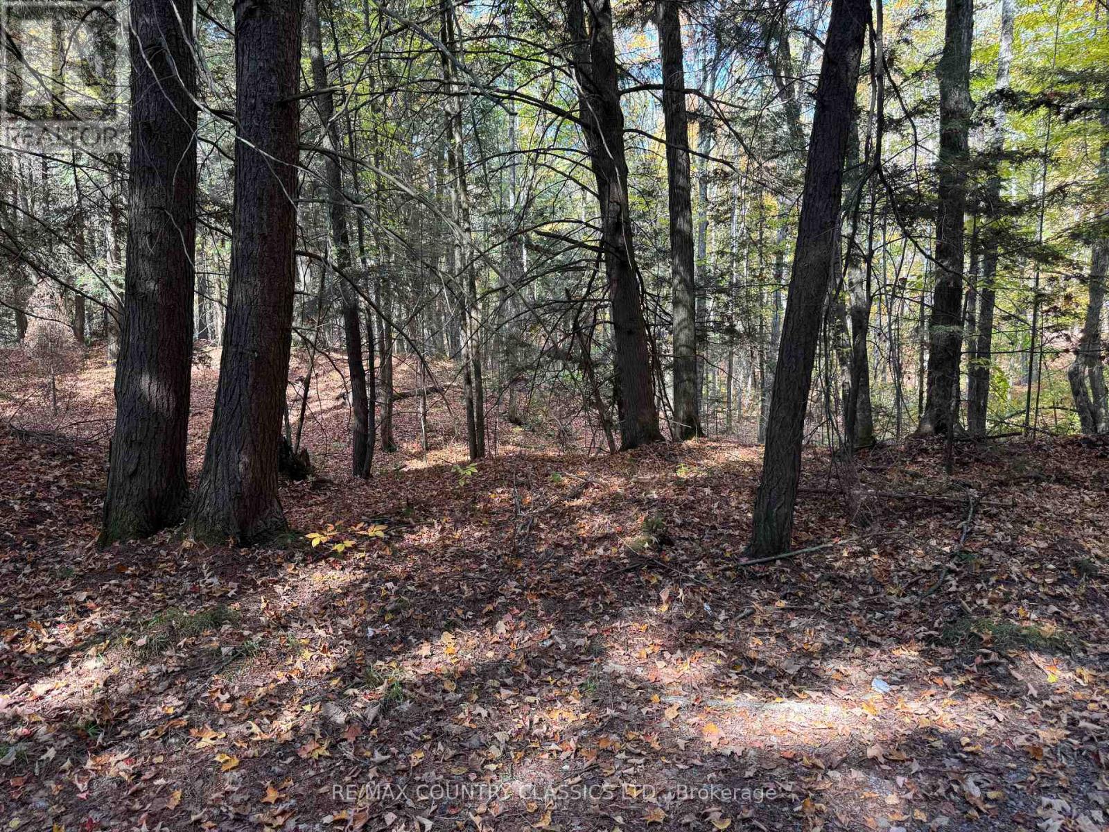 102 Caroline Court, Faraday, Ontario  K0L 1C0 - Photo 28 - X12446839