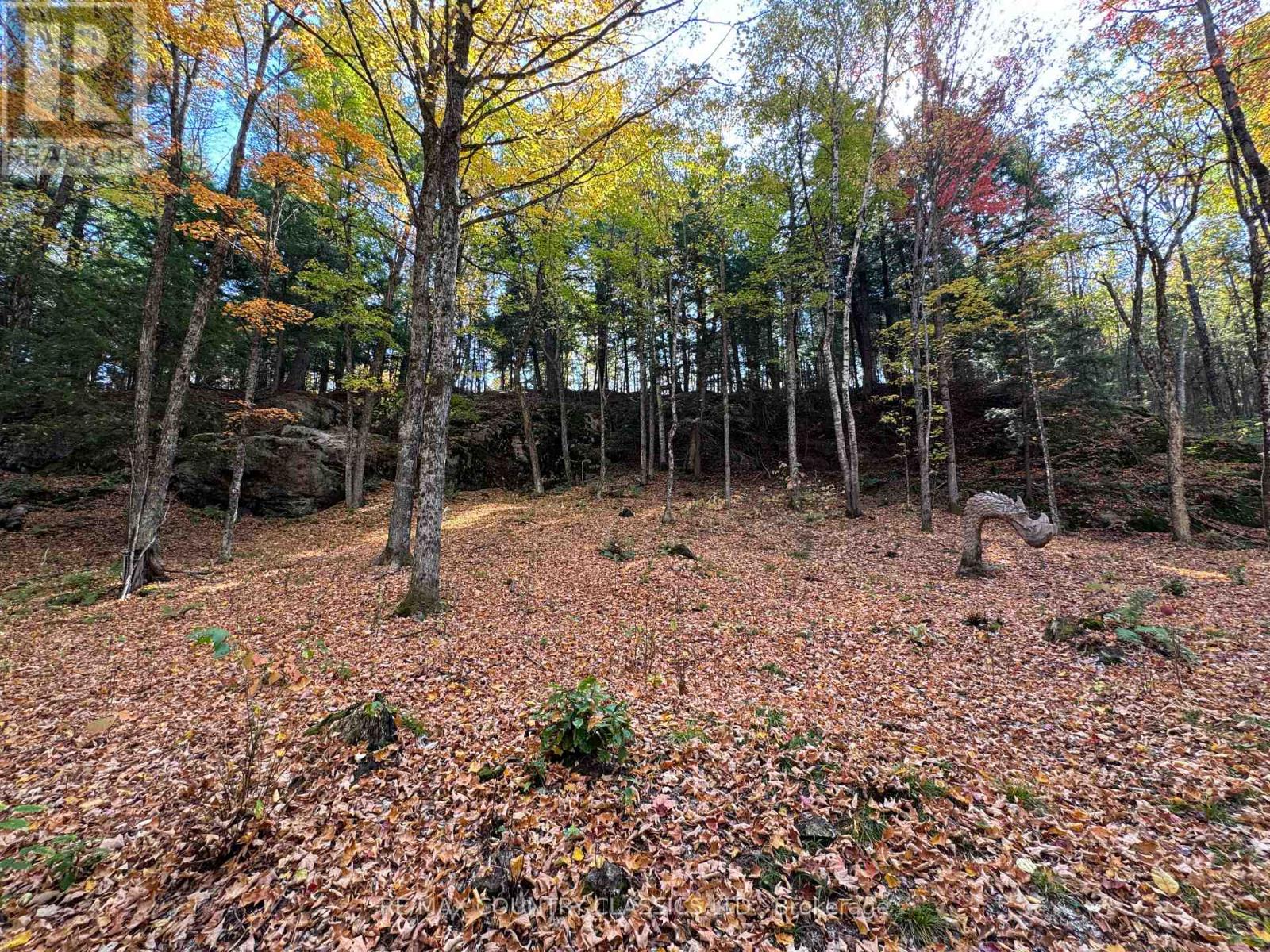 102 Caroline Court, Faraday, Ontario  K0L 1C0 - Photo 29 - X12446839