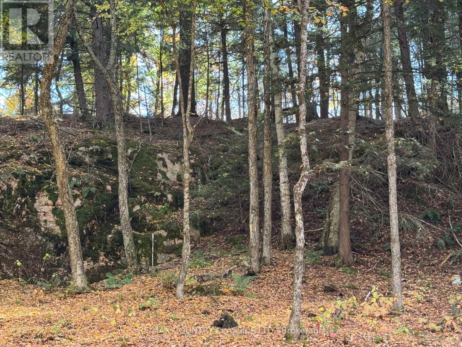 102 Caroline Court, Faraday, Ontario  K0L 1C0 - Photo 30 - X12446839