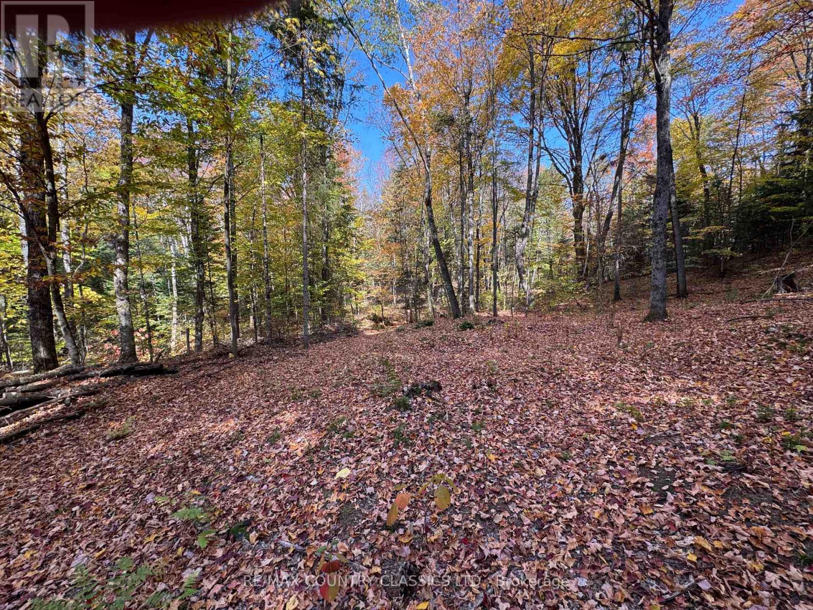 102 Caroline Court, Faraday, Ontario  K0L 1C0 - Photo 32 - X12446839