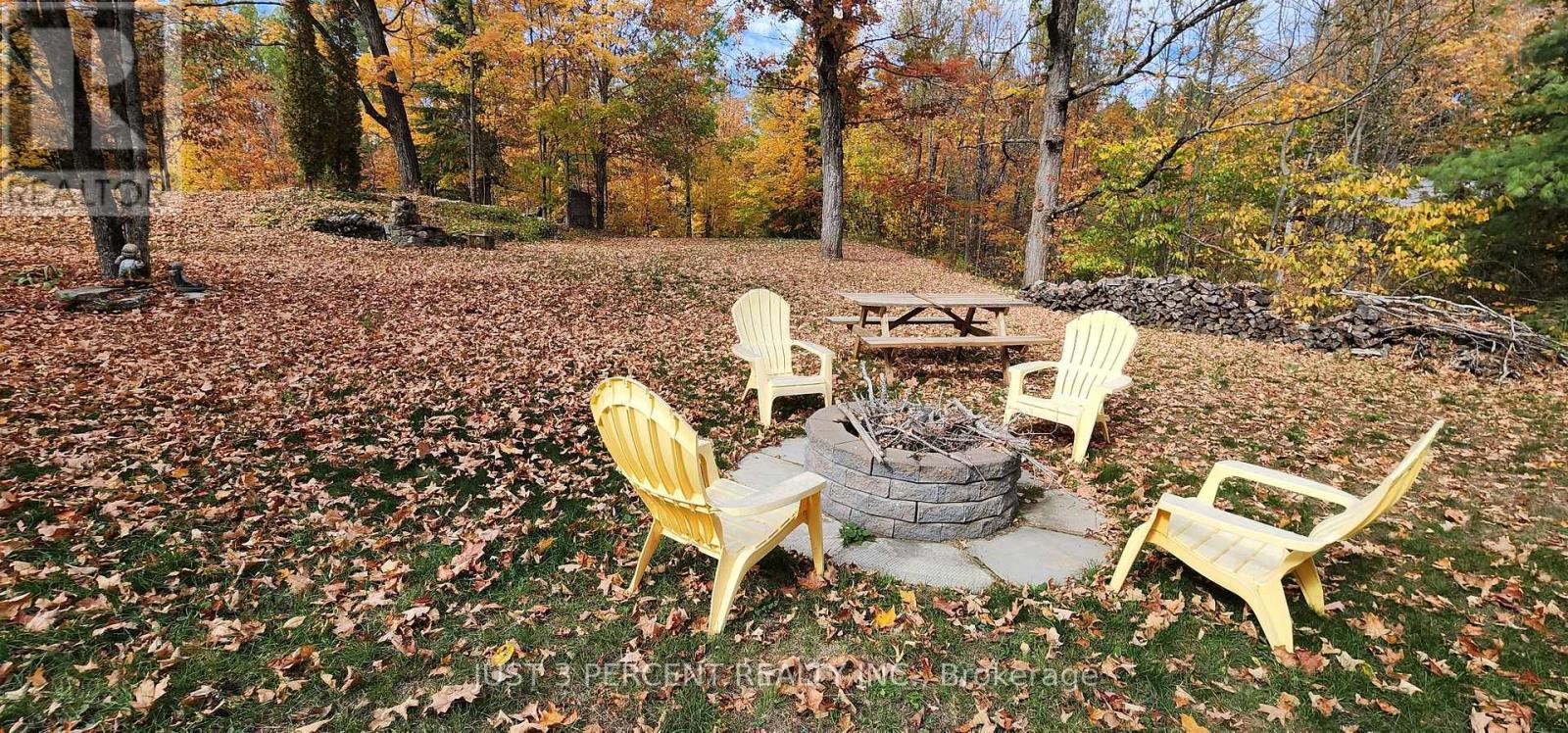 1492 County Rd 620 Road, North Kawartha, Ontario  K0L 1A0 - Photo 48 - X12448309
