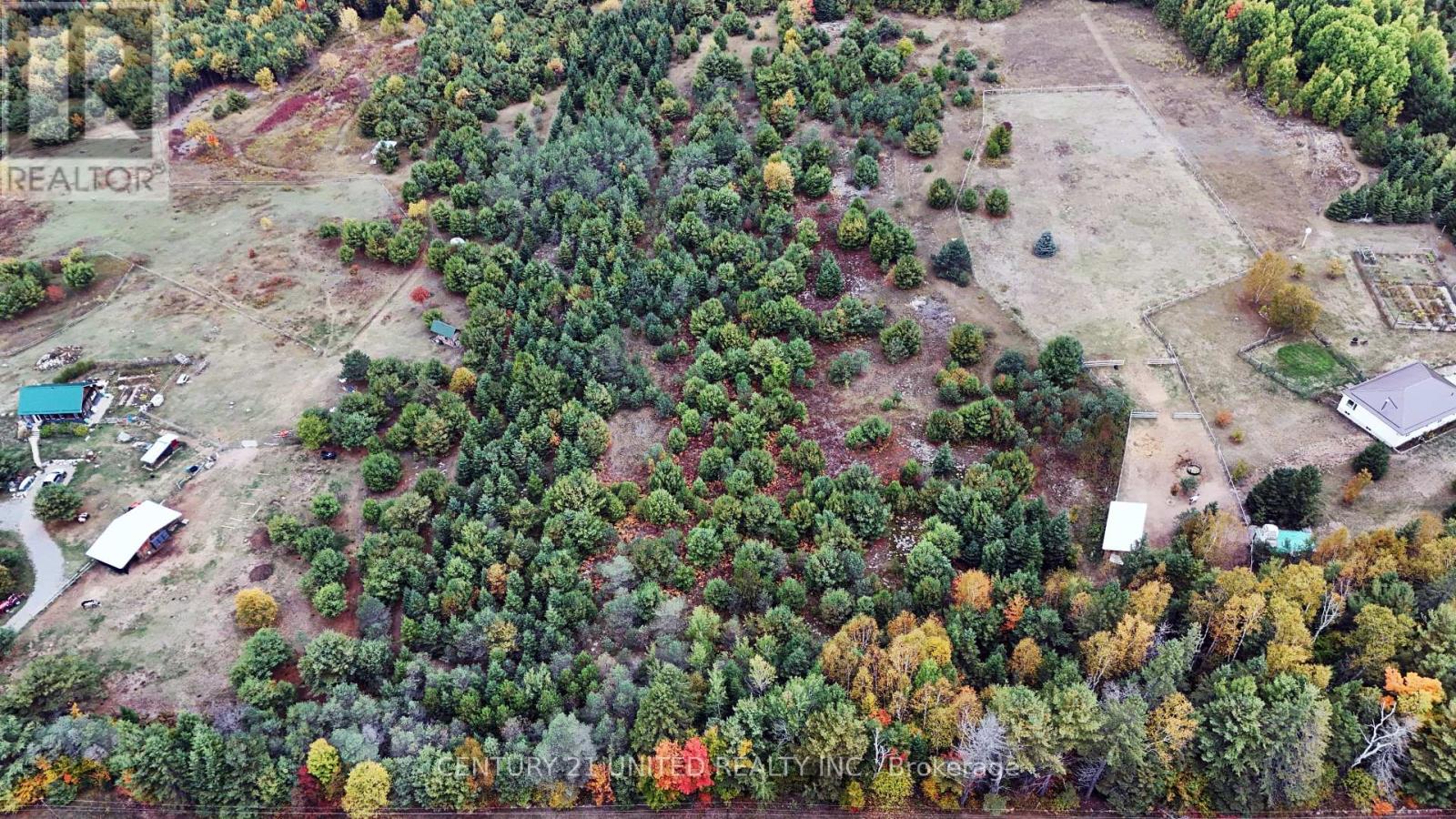 0 Mclean Road, Hastings Highlands (Monteagle Ward), Ontario  K0L 2R0 - Photo 5 - X12451318