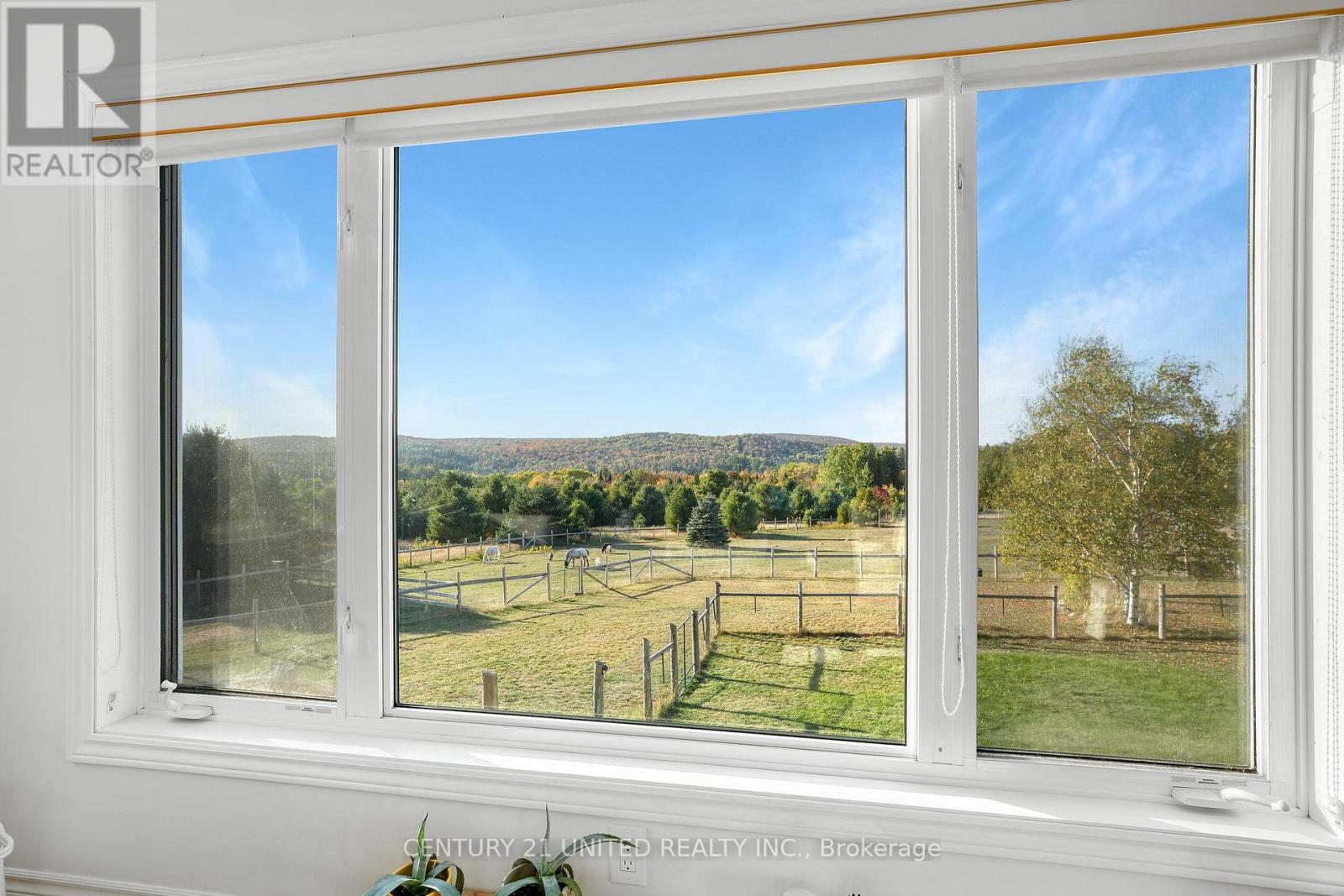 31 Mclean Road, Hastings Highlands (Monteagle Ward), Ontario  K0L 2R0 - Photo 11 - X12451624