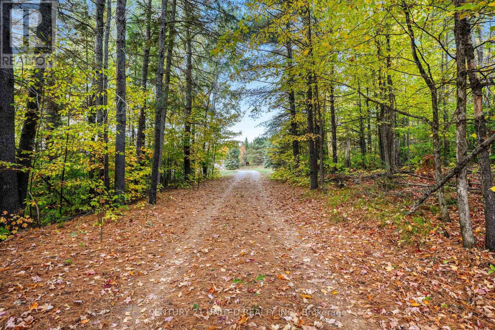 31 Mclean Road, Hastings Highlands (Monteagle Ward), Ontario  K0L 2R0 - Photo 2 - X12451624