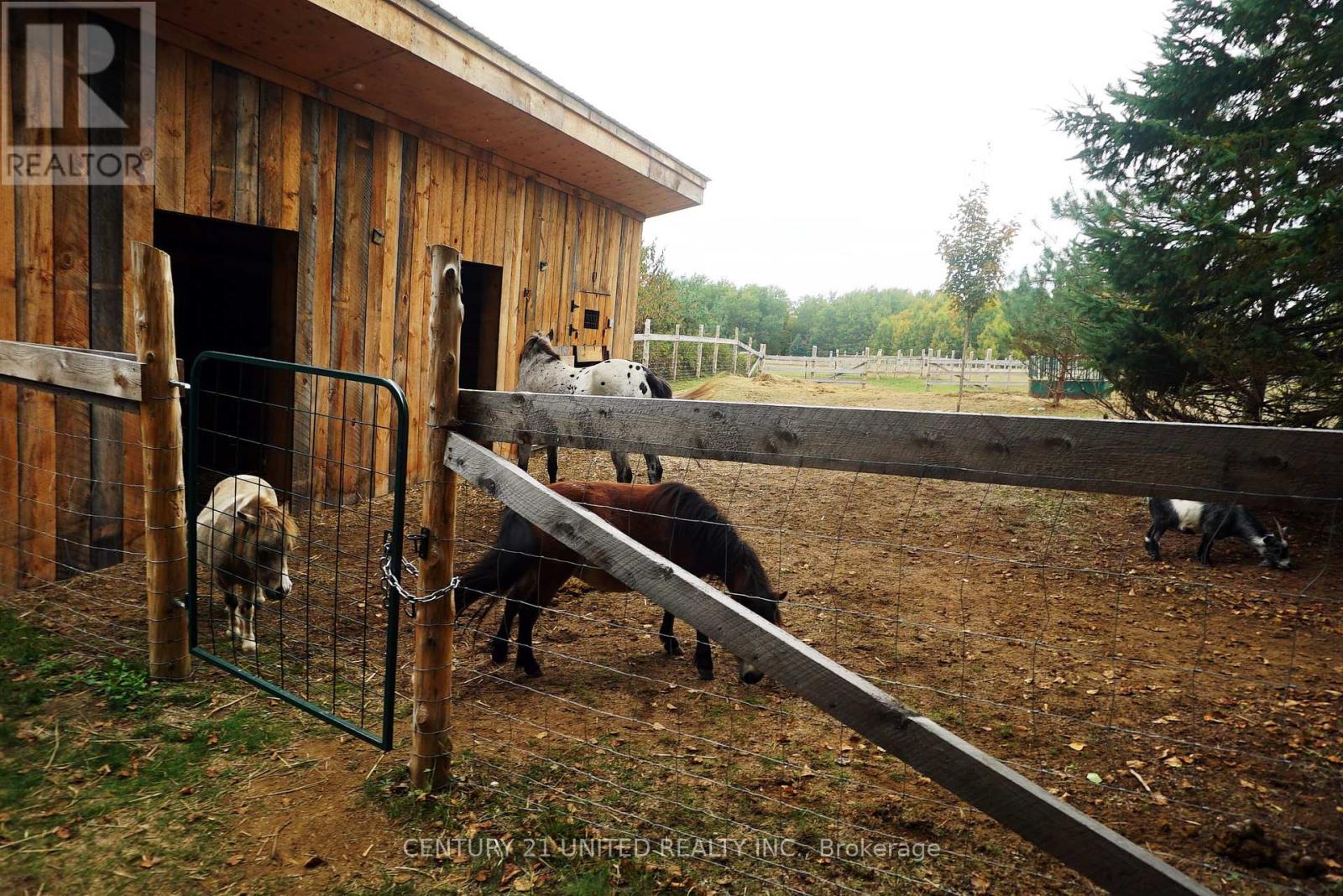 31 Mclean Road, Hastings Highlands (Monteagle Ward), Ontario  K0L 2R0 - Photo 30 - X12451624