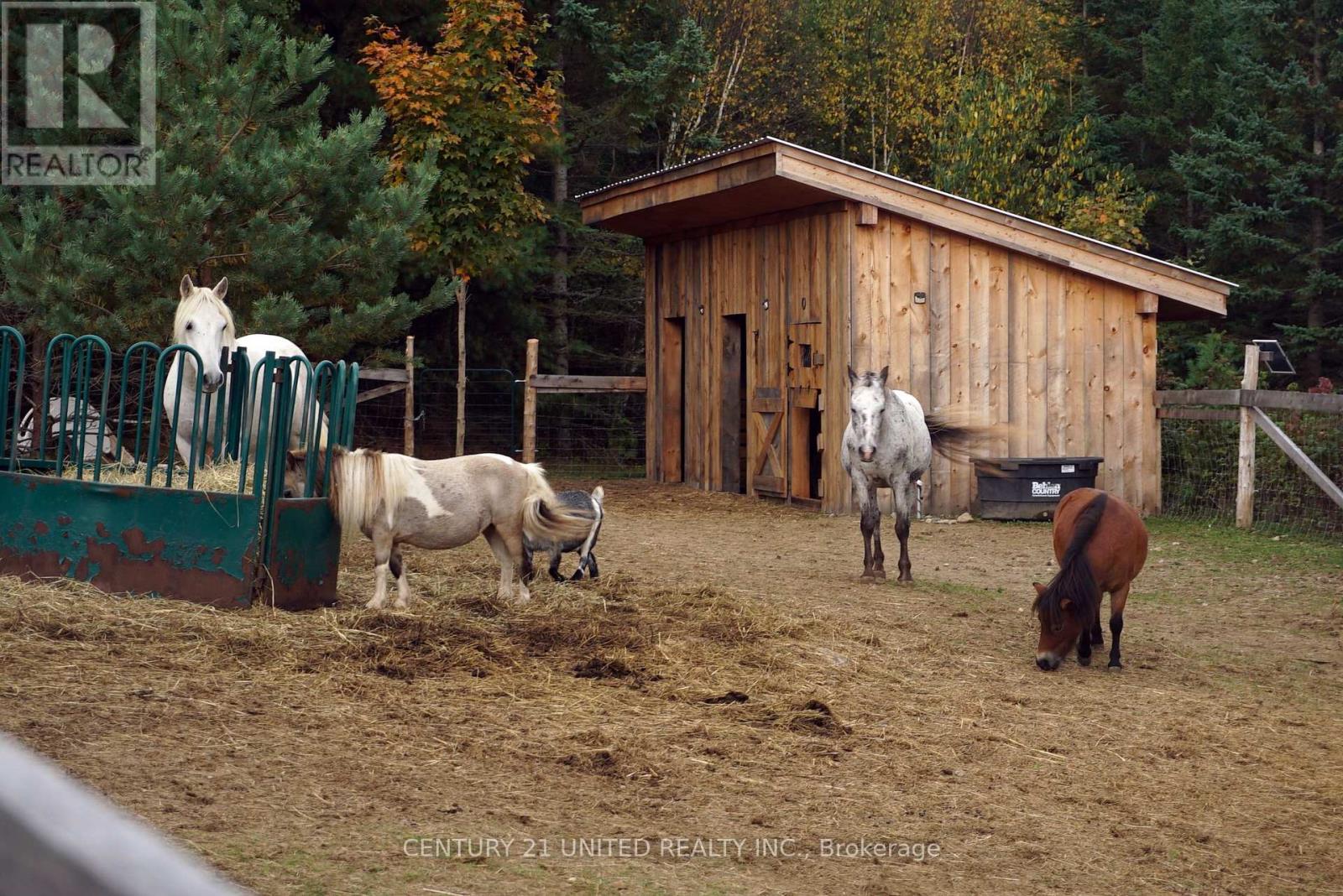 31 Mclean Road, Hastings Highlands (Monteagle Ward), Ontario  K0L 2R0 - Photo 31 - X12451624
