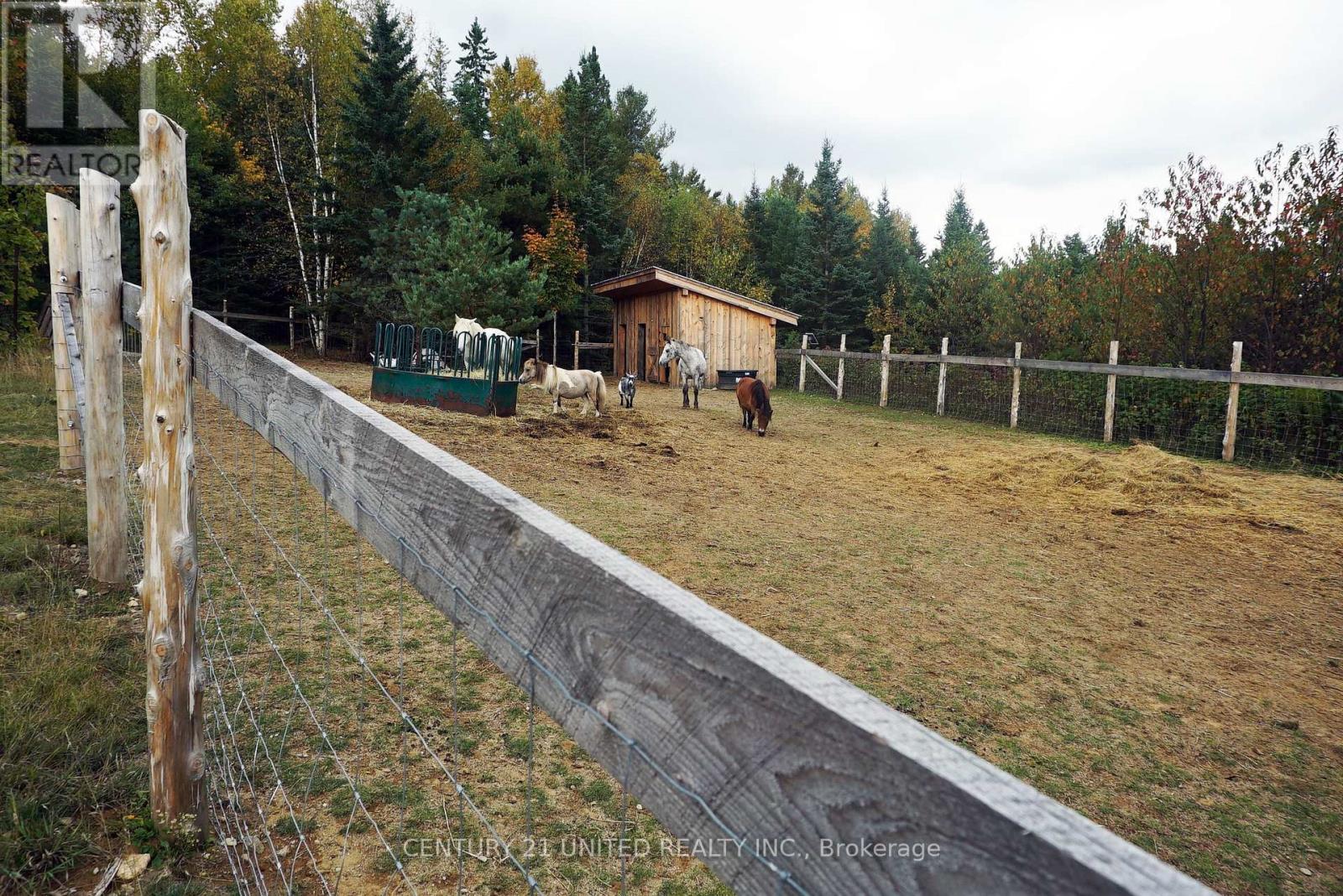 31 Mclean Road, Hastings Highlands (Monteagle Ward), Ontario  K0L 2R0 - Photo 32 - X12451624