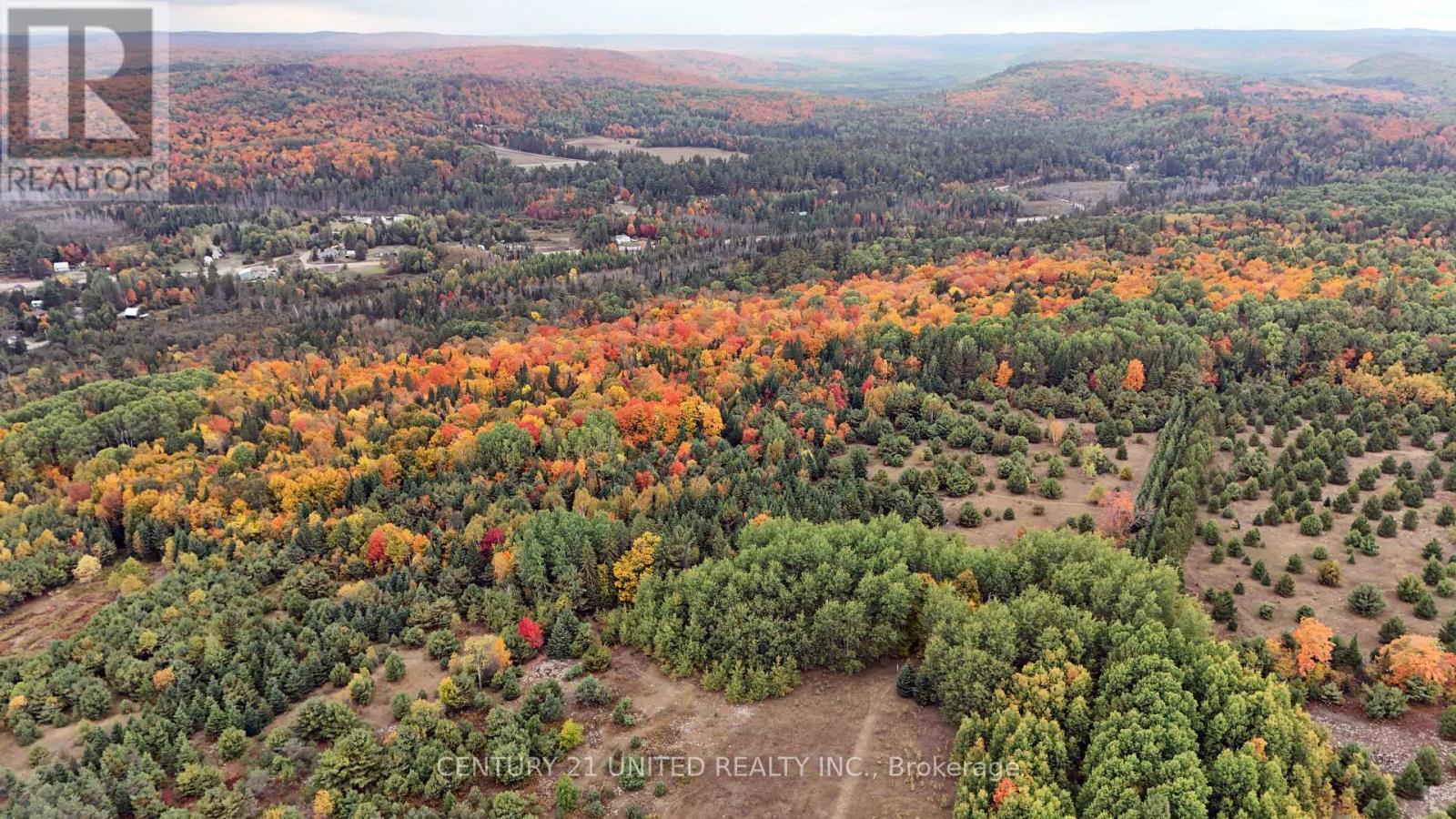 31 Mclean Road, Hastings Highlands (Monteagle Ward), Ontario  K0L 2R0 - Photo 40 - X12451624