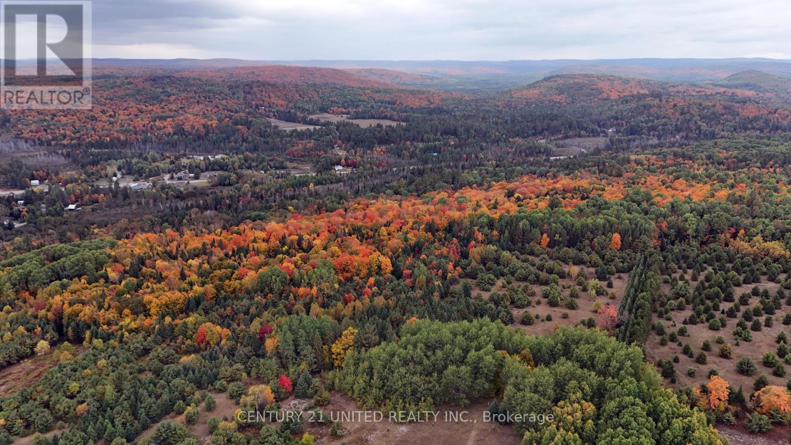 31 Mclean Road, Hastings Highlands (Monteagle Ward), Ontario  K0L 2R0 - Photo 41 - X12451624