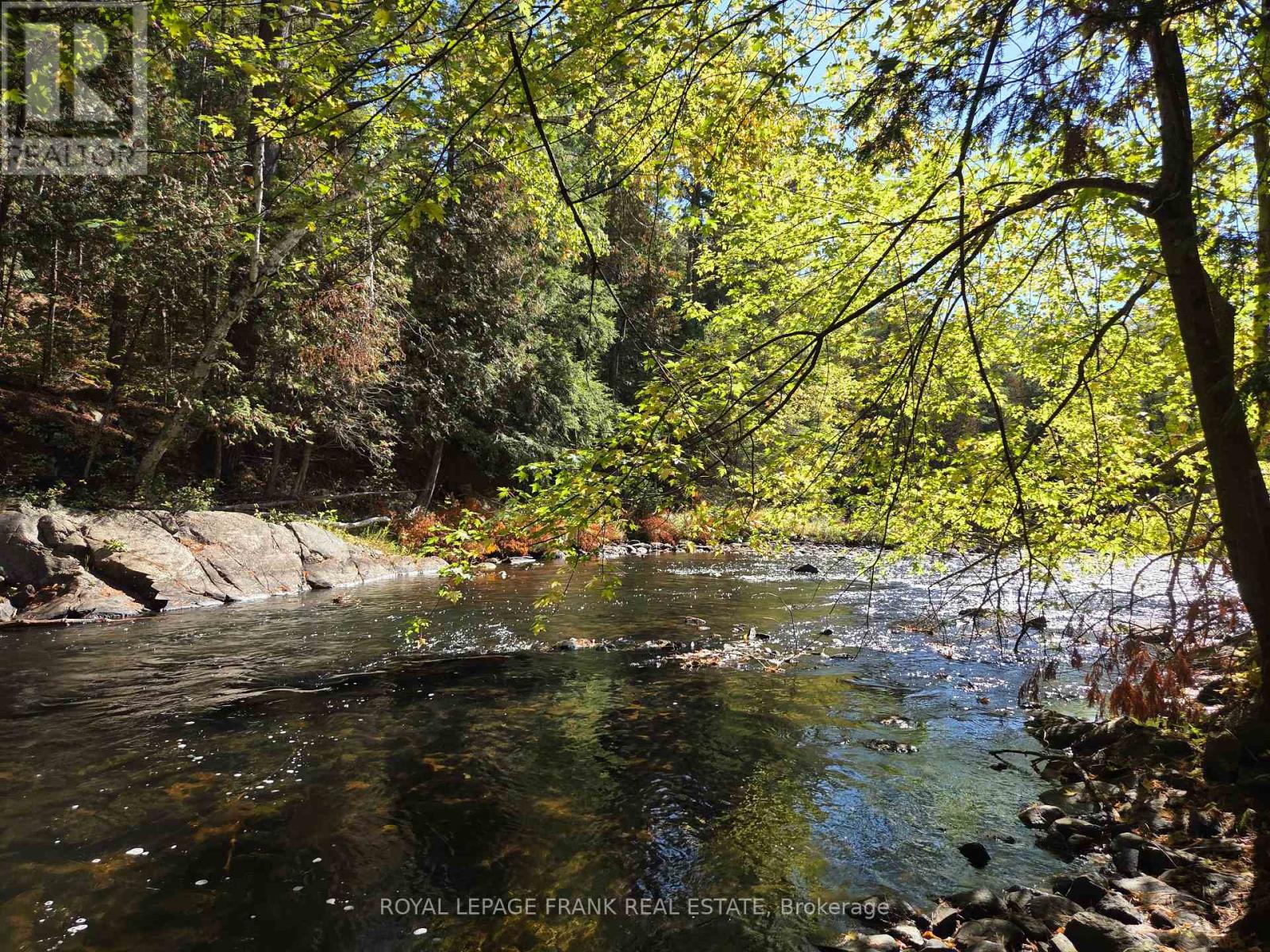 8847 Highway 28, North Kawartha, Ontario  K0L 1A0 - Photo 23 - X12455344