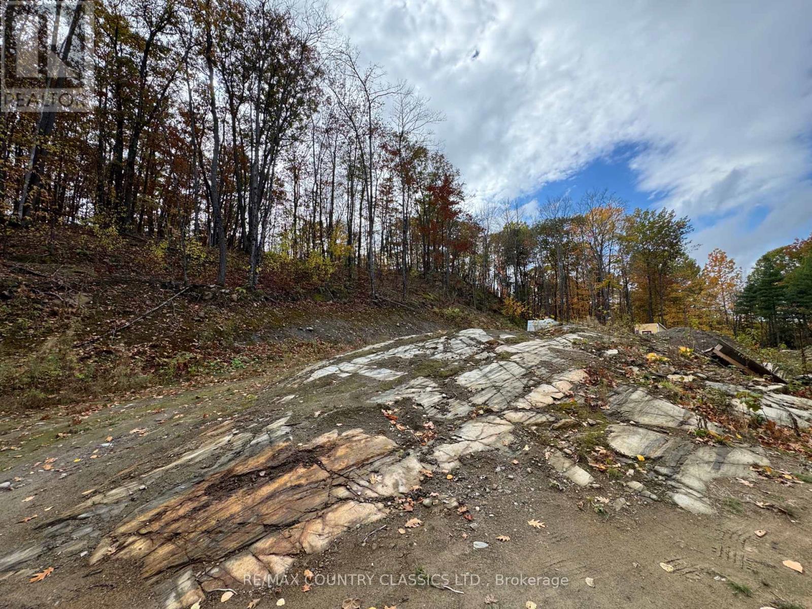 436 Snow Road, Bancroft (Dungannon Ward), Ontario  K0L 1C0 - Photo 2 - X12455986