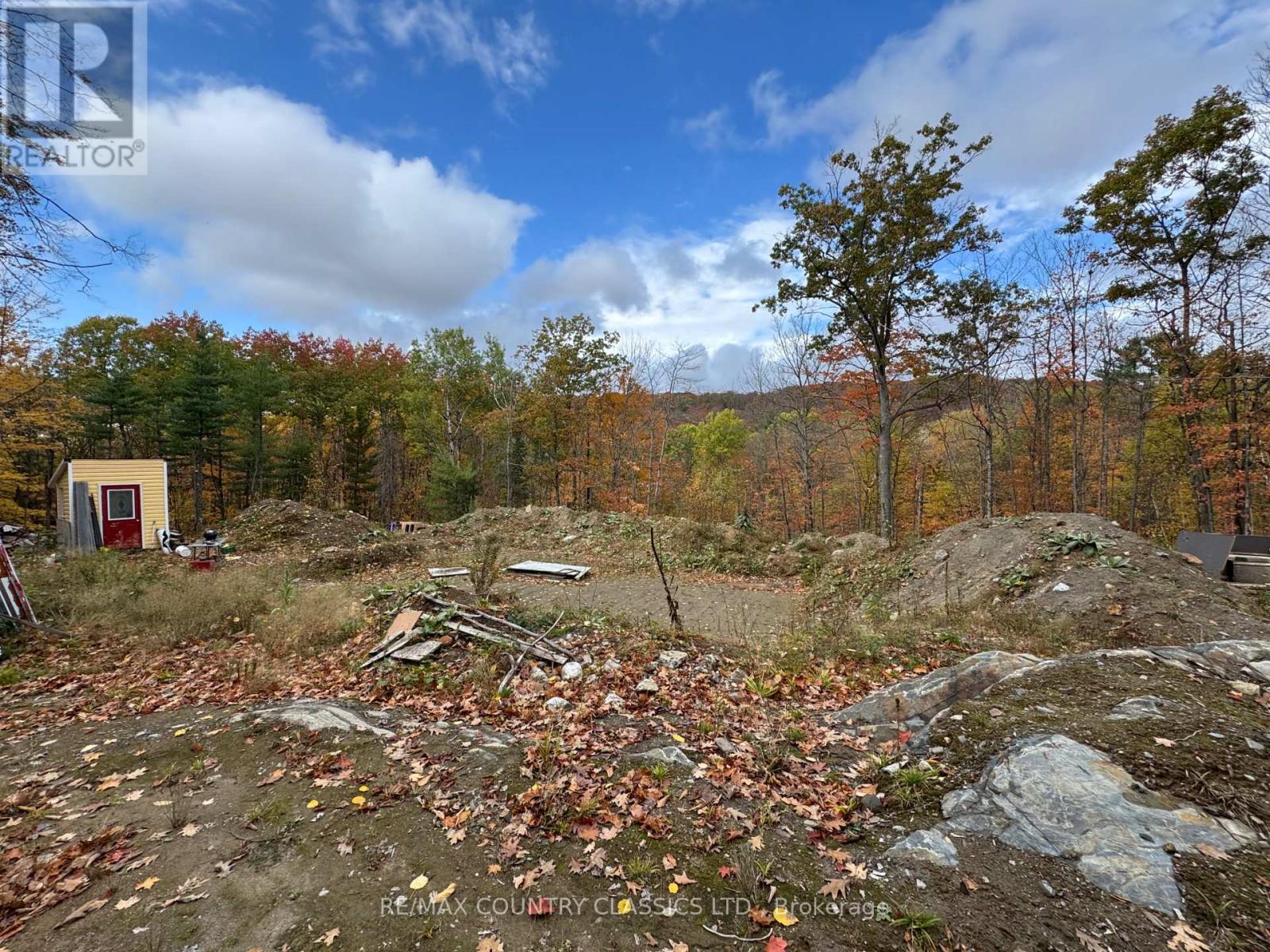 436 Snow Road, Bancroft (Dungannon Ward), Ontario  K0L 1C0 - Photo 3 - X12455986