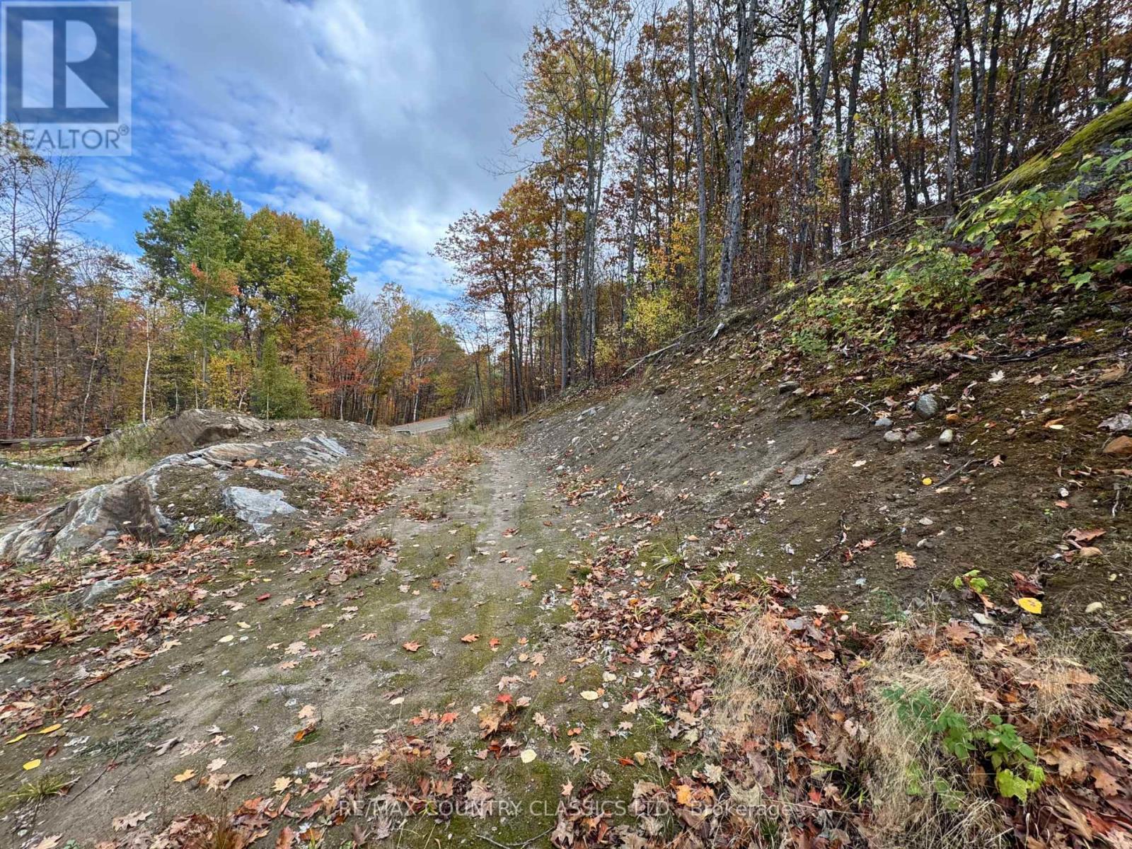 436 Snow Road, Bancroft (Dungannon Ward), Ontario  K0L 1C0 - Photo 4 - X12455986