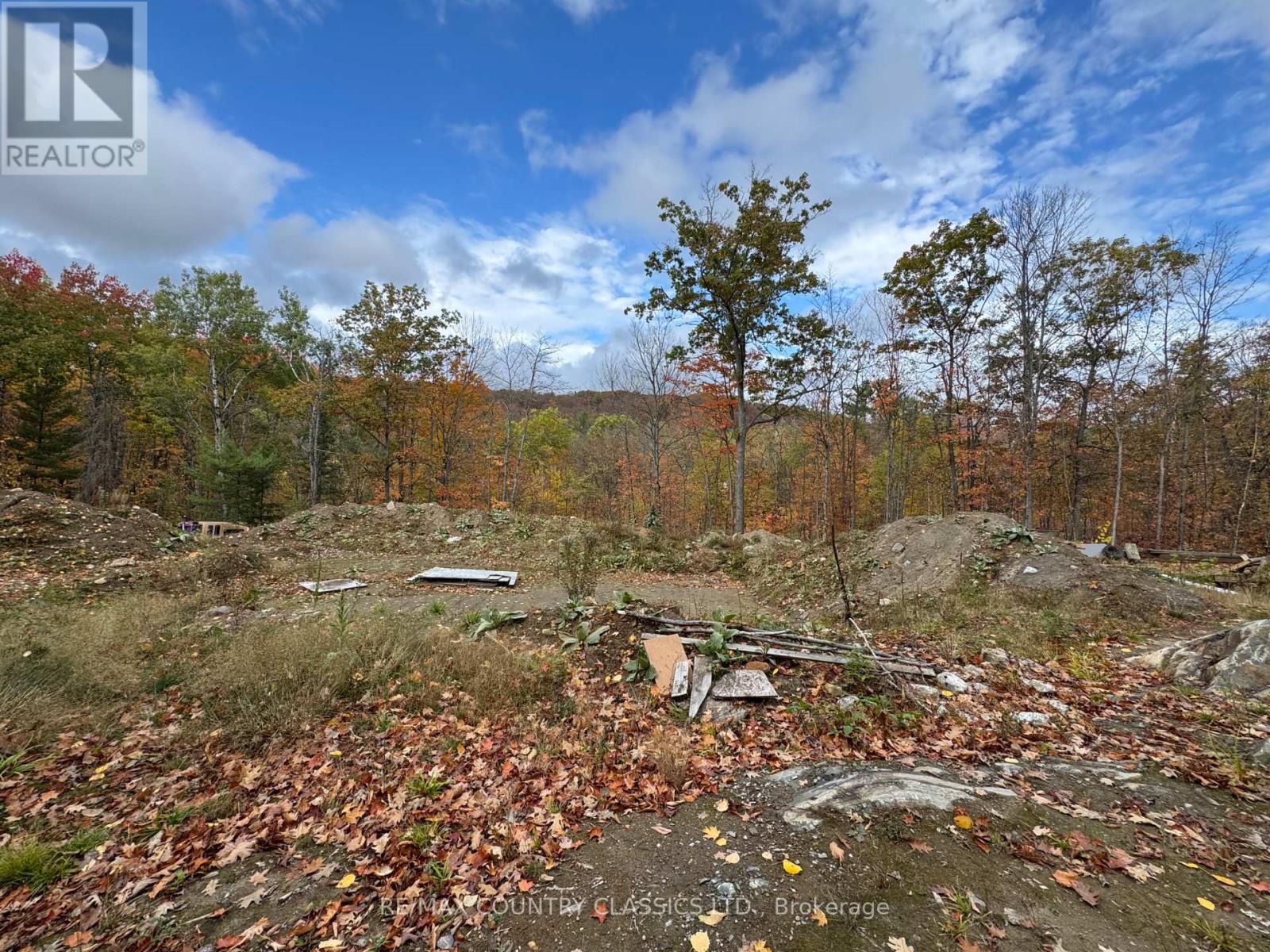 436 Snow Road, Bancroft (Dungannon Ward), Ontario  K0L 1C0 - Photo 5 - X12455986