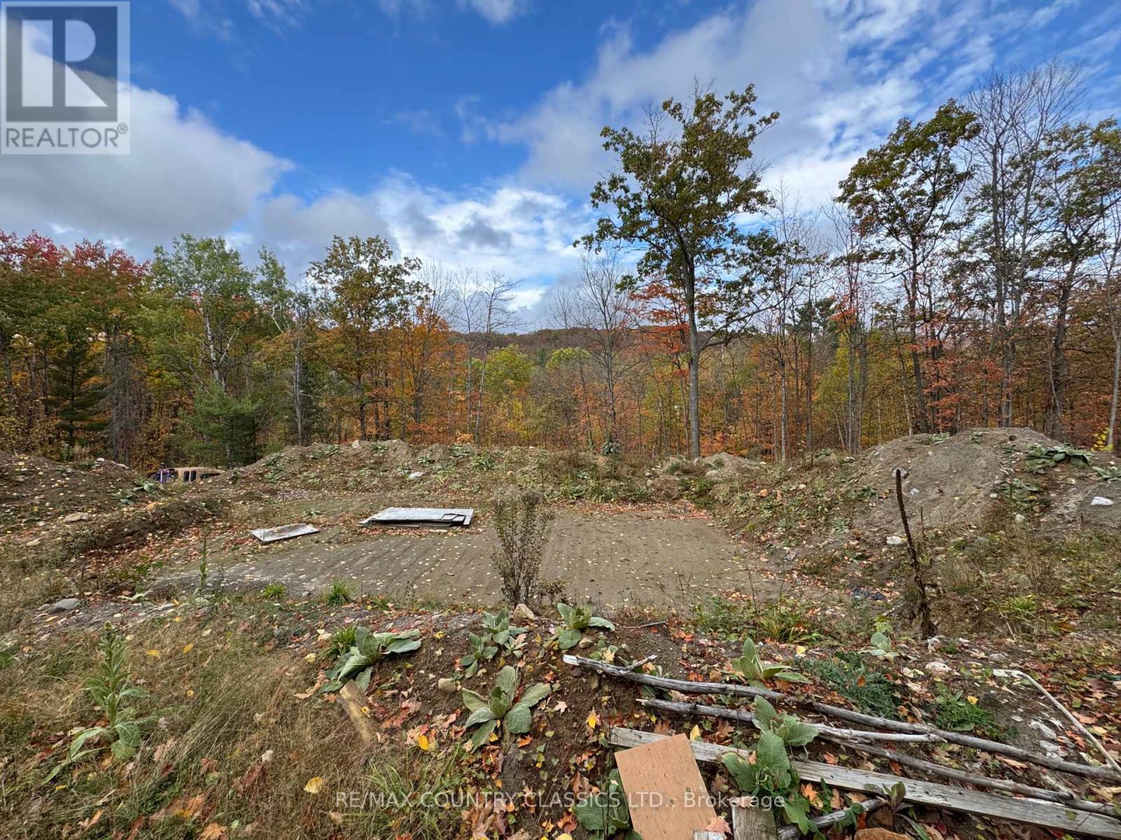 436 Snow Road, Bancroft (Dungannon Ward), Ontario  K0L 1C0 - Photo 6 - X12455986