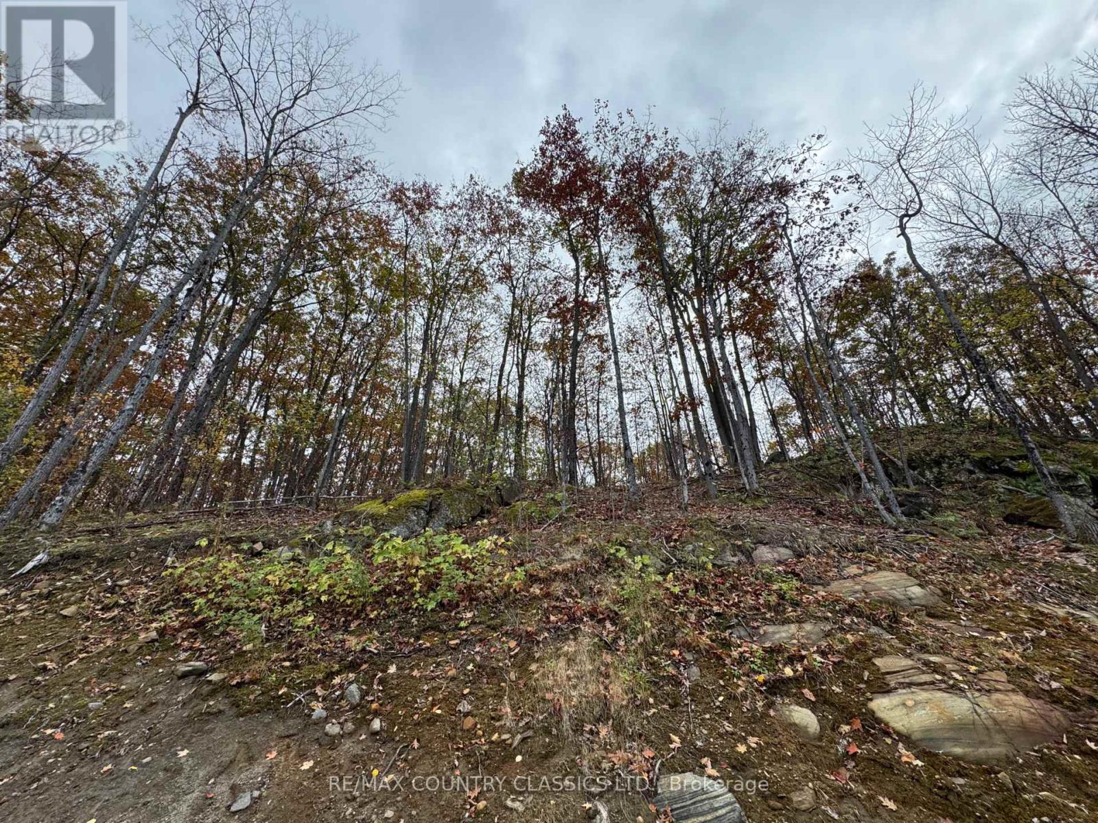 436 Snow Road, Bancroft (Dungannon Ward), Ontario  K0L 1C0 - Photo 7 - X12455986