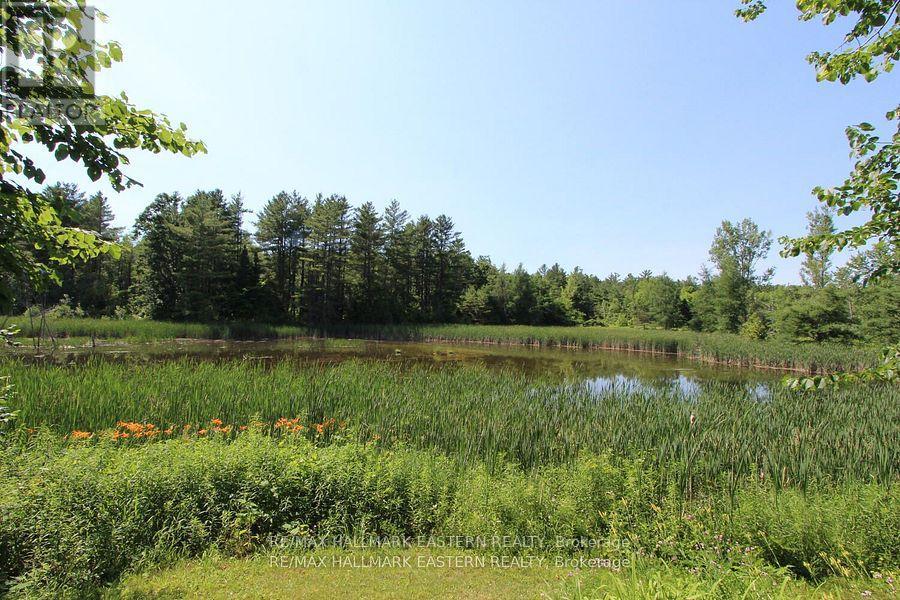 240 Cole Road, Havelock-Belmont-Methuen (Belmont-Methuen), Ontario  K0L 1Z0 - Photo 28 - X12456379