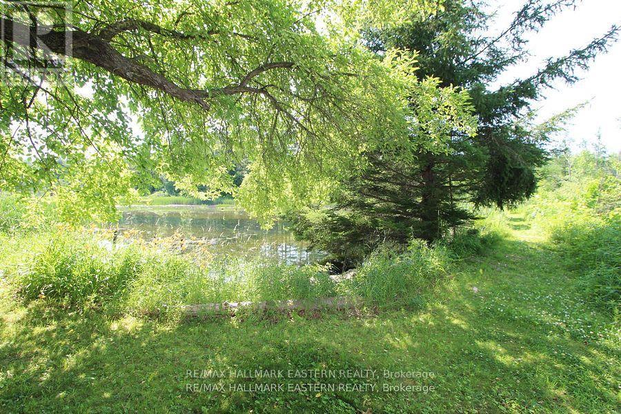 240 Cole Road, Havelock-Belmont-Methuen (Belmont-Methuen), Ontario  K0L 1Z0 - Photo 29 - X12456379