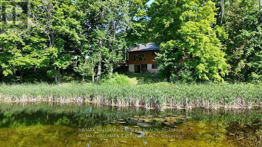 240 Cole Road, Havelock-Belmont-Methuen (Belmont-Methuen), Ontario  K0L 1Z0 - Photo 31 - X12456379