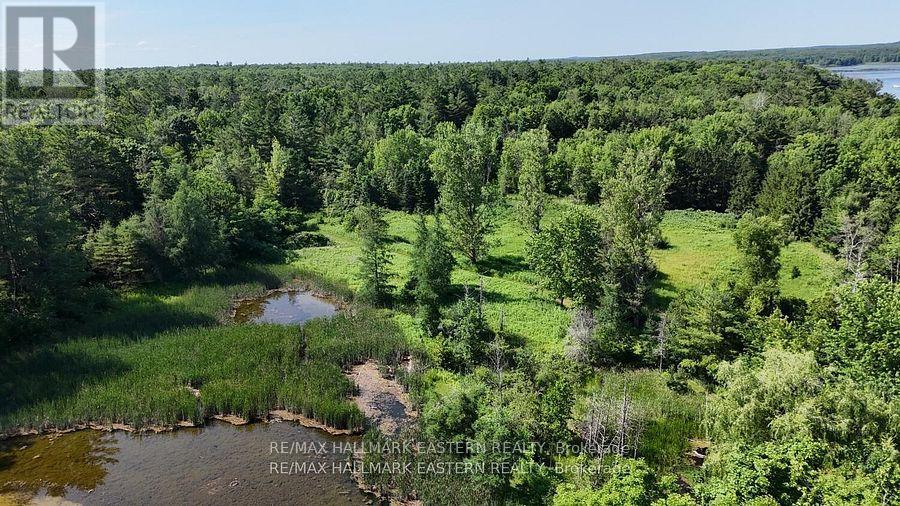 240 Cole Road, Havelock-Belmont-Methuen (Belmont-Methuen), Ontario  K0L 1Z0 - Photo 37 - X12456379