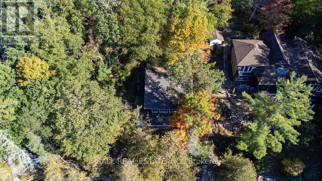 12 Bedwell Drive, North Kawartha, Ontario  K0L 3E0 - Photo 39 - X12459775