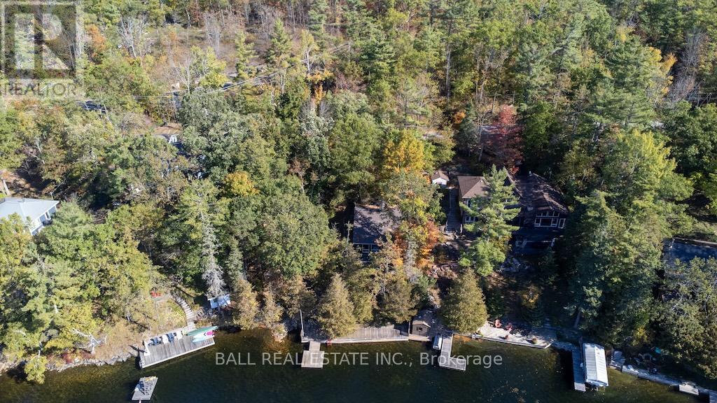 12 Bedwell Drive, North Kawartha, Ontario  K0L 3E0 - Photo 4 - X12459775