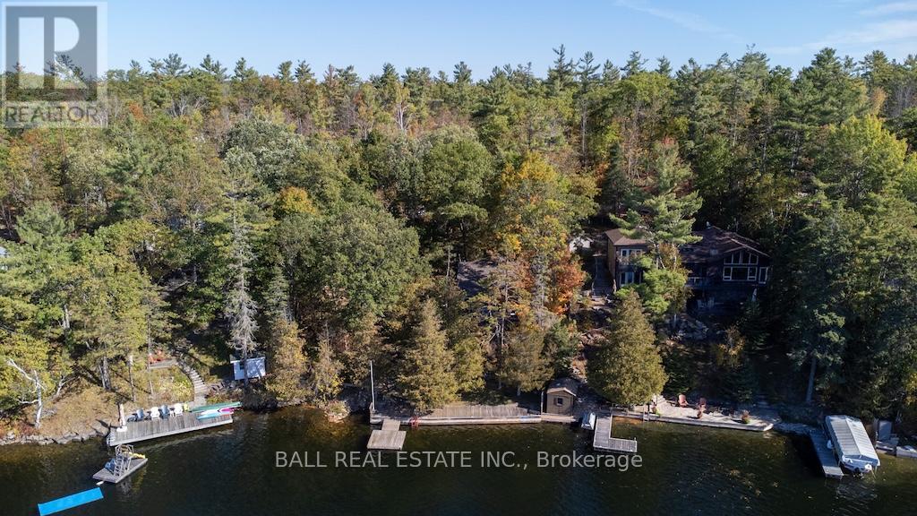 12 Bedwell Drive, North Kawartha, Ontario  K0L 3E0 - Photo 6 - X12459775