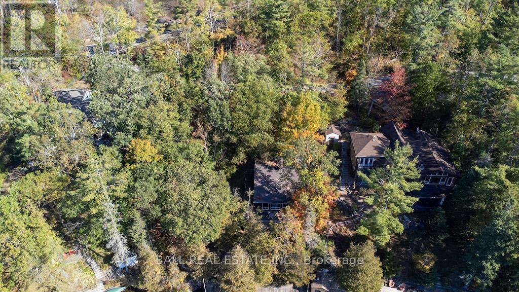 12 Bedwell Drive, North Kawartha, Ontario  K0L 3E0 - Photo 7 - X12459775