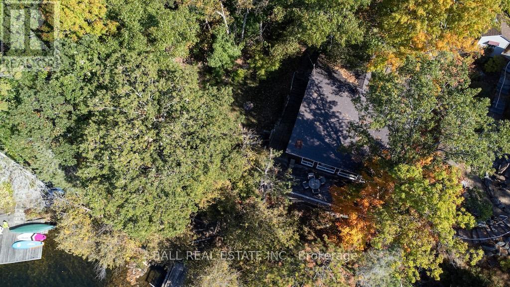 12 Bedwell Drive, North Kawartha, Ontario  K0L 3E0 - Photo 8 - X12459775