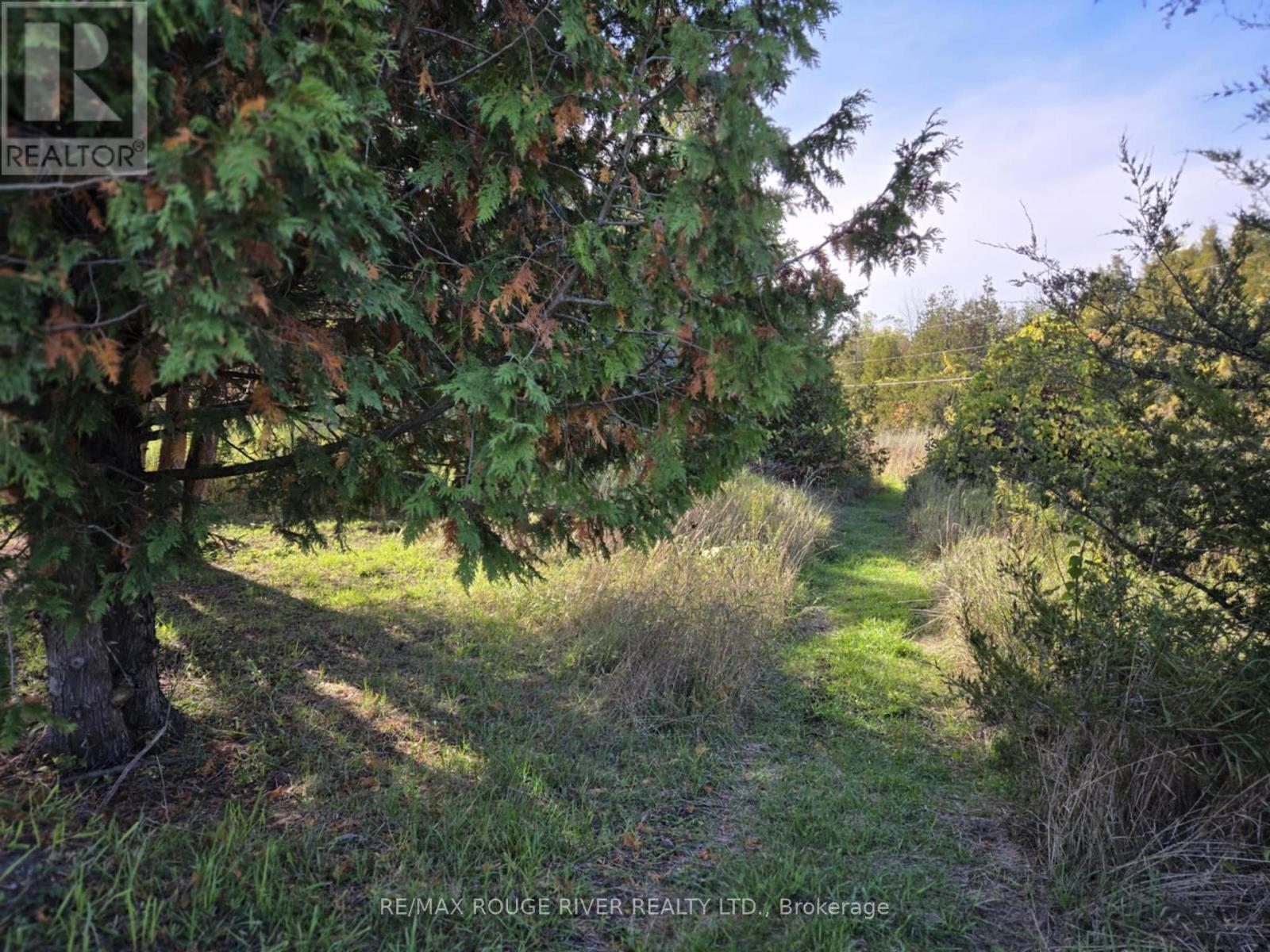 1176 Ixl Road, Trent Hills, Ontario  K0L 1L0 - Photo 42 - X12460121