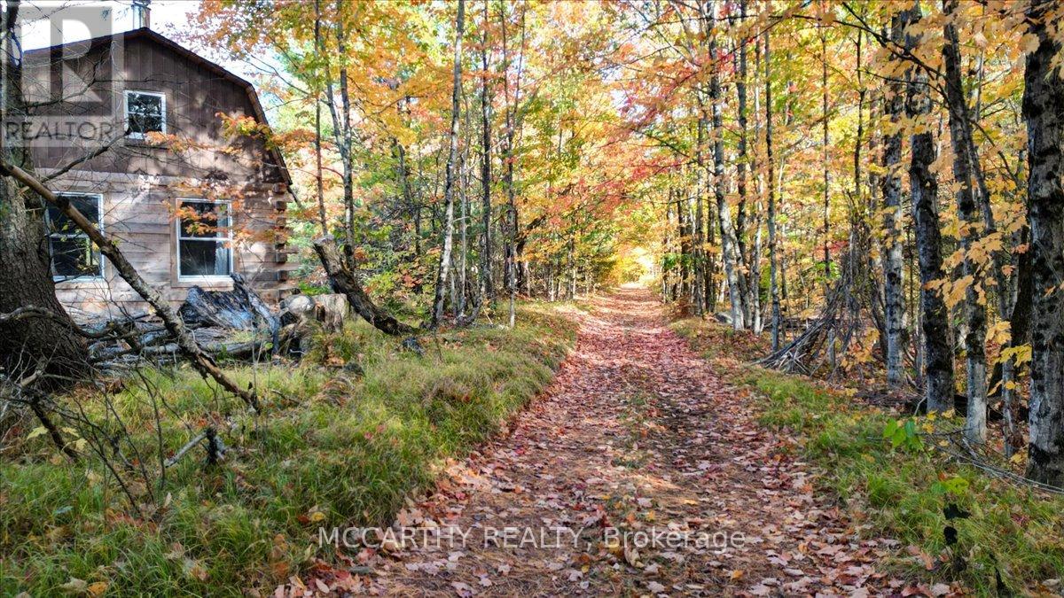 3649 County 504 Road, North Kawartha, Ontario  K0L 1A0 - Photo 42 - X12460718