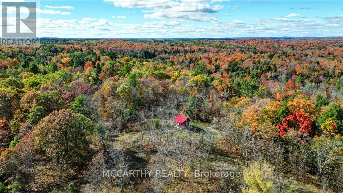 3649 County 504 Road, North Kawartha, Ontario  K0L 1A0 - Photo 43 - X12460718