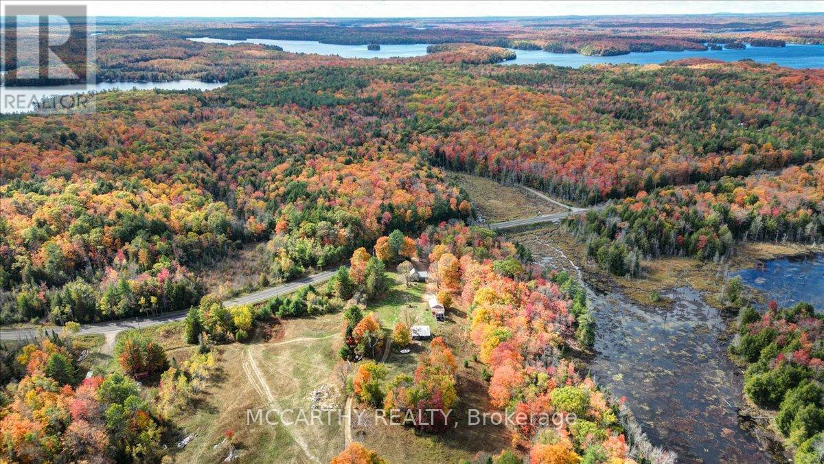 3649 County 504 Road, North Kawartha, Ontario  K0L 1A0 - Photo 44 - X12460718
