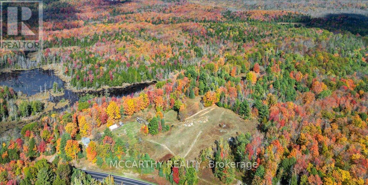 3649 County 504 Road, North Kawartha, Ontario  K0L 1A0 - Photo 45 - X12460718